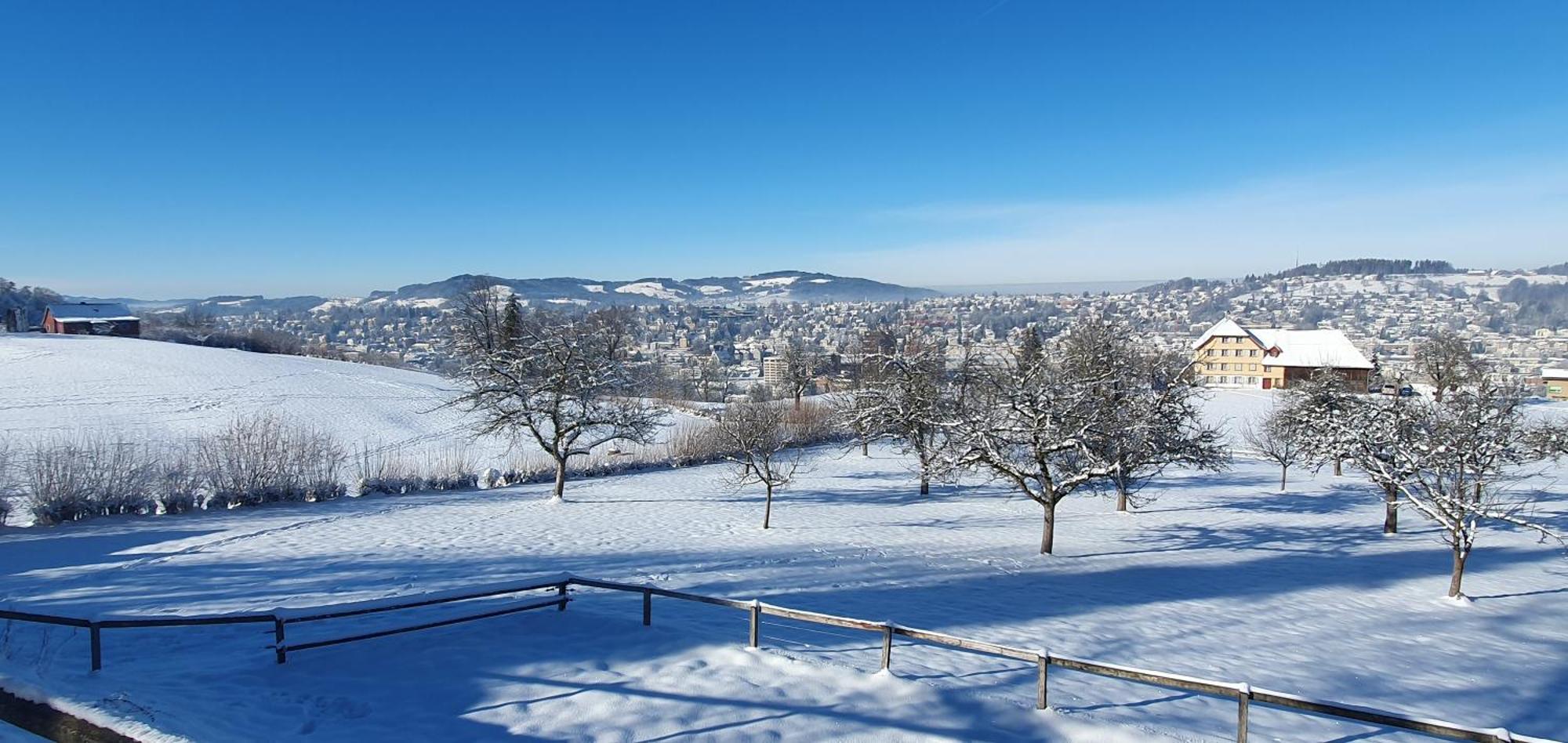 2 Zimmer Zentral-Ruhig Mit Flair Gertrud Schloessli St. Gallen Esterno foto